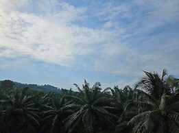 BS KRABI HOTEL