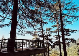 Fairmount Shimla Forest Greens