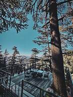 Fairmount Shimla Forest Greens