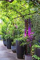 The Empress Direct Access Carlton Gardens