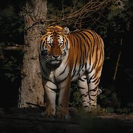 Knuthenborg Safaripark