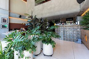 BoH Collection