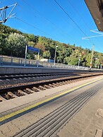Adelin Vienna