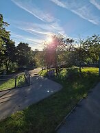 Adelin Vienna