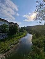 Adelin Vienna