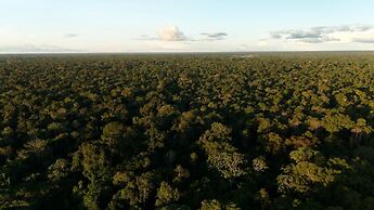 Amazon Jungle Expeditions Lodge