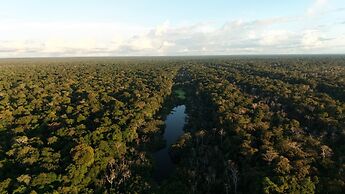 Amazon Jungle Expeditions Lodge