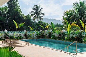 Yellowstone Resort Arambol