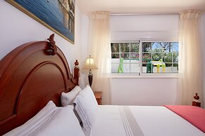 Villa Plumeria Flower