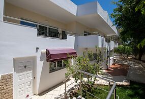 Villa Plumeria Flower