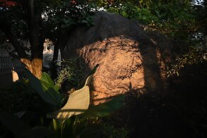 VSR VRIKSHA NATUROPATHY WELLNESS