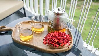 VSR VRIKSHA NATUROPATHY WELLNESS