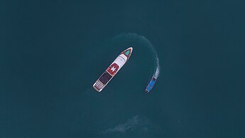 Halora Nova Cruise