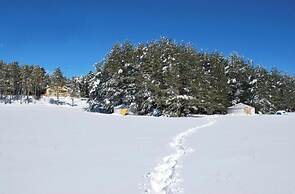 Les insolites de la bastide