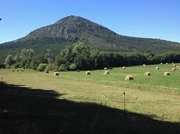 Les insolites de la bastide