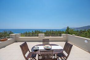 Gallery Home