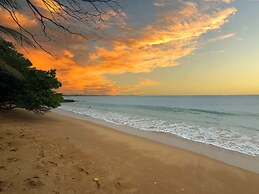 OLA Tangalle
