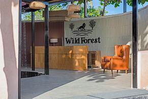 Wild forest Sasan Gir Wildlife Sanctuary