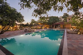 Wild forest Sasan Gir Wildlife Sanctuary