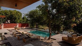 Wild forest Sasan Gir Wildlife Sanctuary