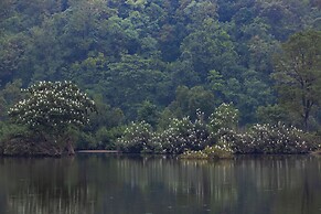 The Forest Chapter By Sayaji Madhai