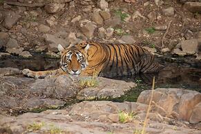 The Forest Chapter By Sayaji Madhai
