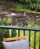 The Hive on the River Bank