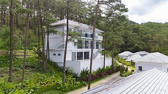 Haven in the Pines