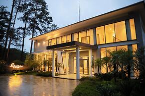 Haven in the Pines