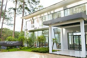 Haven in the Pines