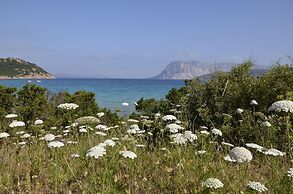 Seaside Apartment Near Budoni