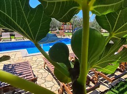 Villa Popovića Dvori