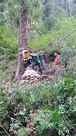 Nature Walk Resort Mussoorie