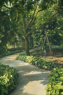 Tropical Fruit Garden Homestay