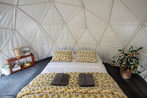 Doi Inthanon Tea Farmstay