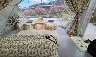 Doi Inthanon Tea Farmstay