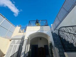 Riad Blue Berry