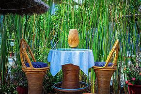 Kombo Oasis
