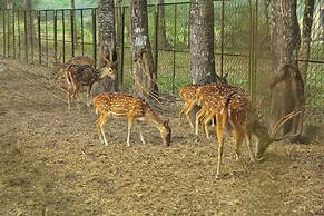 Matir Maya Eco Resort Gazipur