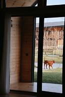 Ranch In Variani