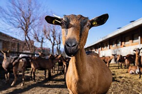 La Fiorida Agri Relais
