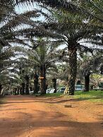 Bugoma Palms Resort Beach and Hotel