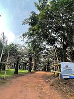 Bugoma Palms Resort Beach and Hotel