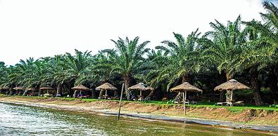 Bugoma Palms Resort Beach and Hotel
