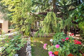 Hotel Anina
