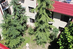 Hotel Anina