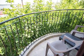 Hotel Anina