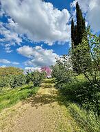 Uliveto Magico