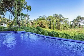Sol Banyan Grande - 307