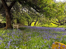 Woodtown in Chagford